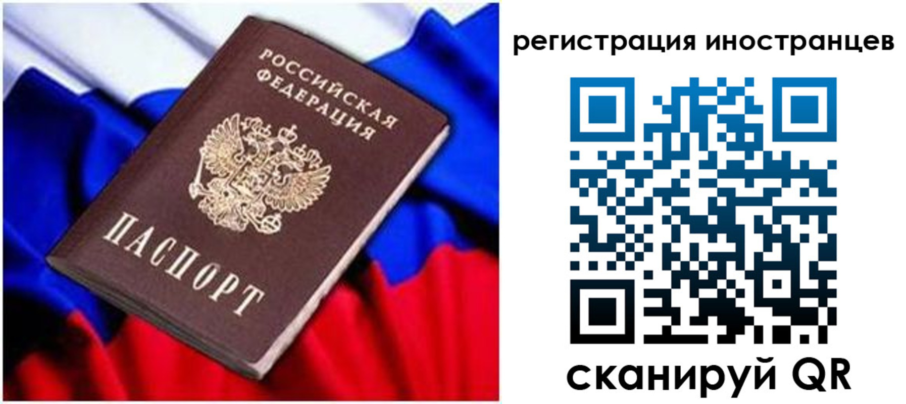 прописка для школы в Домодедово
